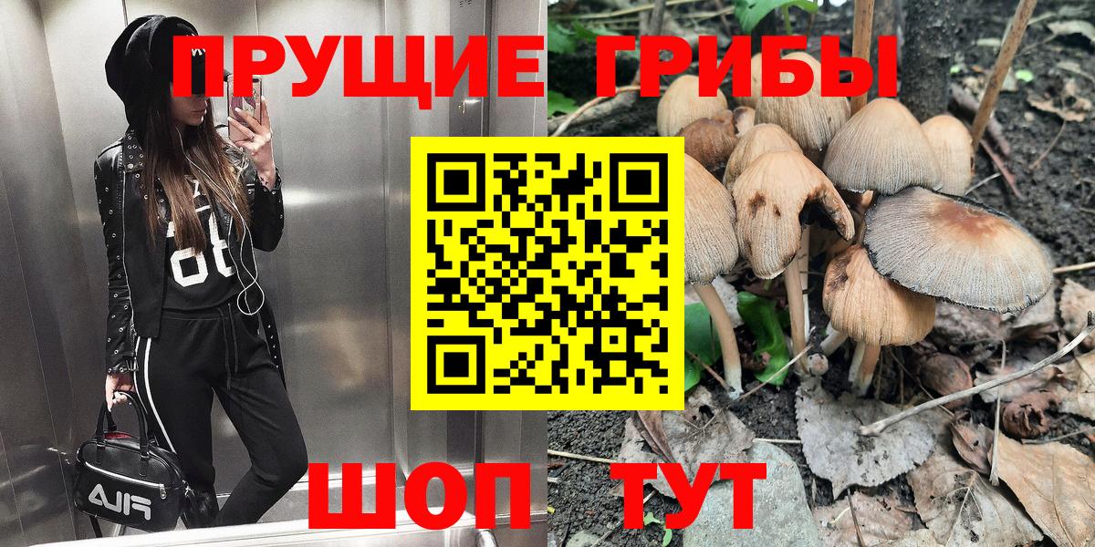 Гудермес  Псилоцибиновые грибы прущие грибы  Вход с VPN  Галлюциногенные грибы Magic Shrooms 