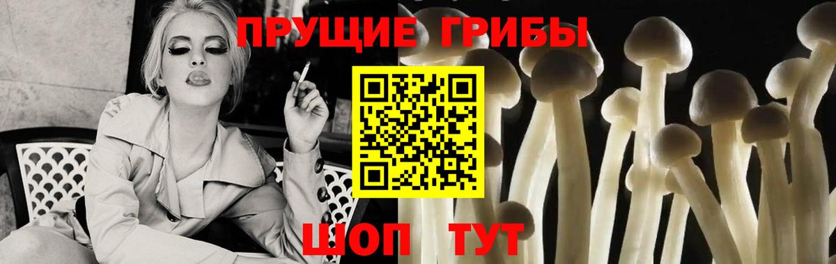 Галлюциногенные грибы GOLDEN TEACHER Гудермес